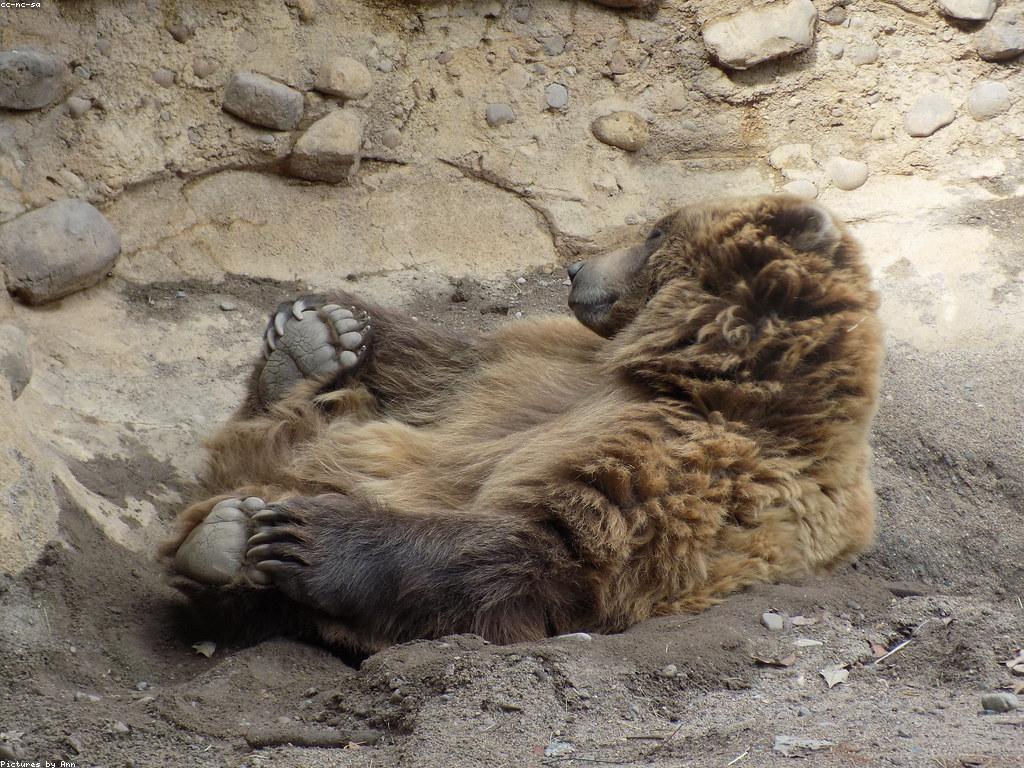 យុទ្ធសាស្ត្រលេង៖ ការអប់រំតាមរយៈការលេង