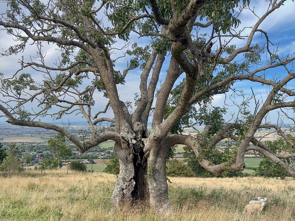 គន្លឹះសម្រាប់ការរៀបចំព្រឹត្តិការណ៍ស្នាក់នៅ