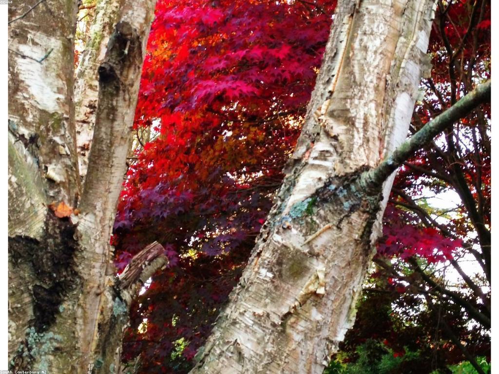 ការស្វែងយល់អំពីការស្នាក់នៅព្រឹត្តិការណ៍